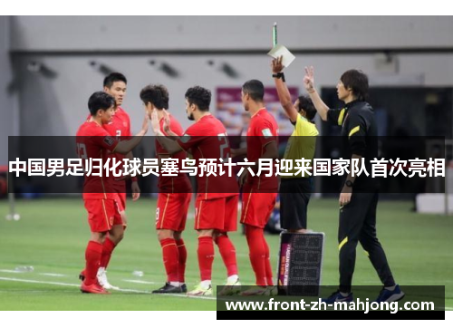 中国男足归化球员塞鸟预计六月迎来国家队首次亮相